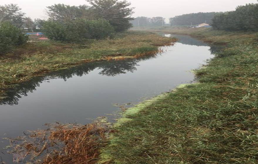 å¤©æ´¥æ¦æ¸…区陈å’镇䏿³“æ•…é“é»‘è‡æ°´ä½“处ç†å·¥ç¨‹æ¡ˆä¾‹