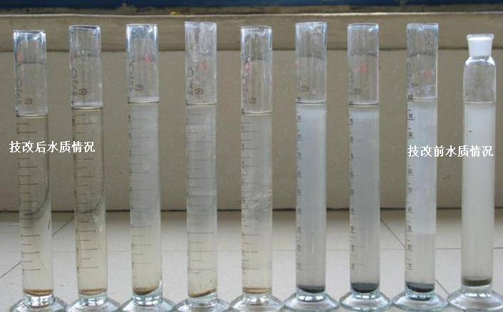 æ–°ç–†çŸ³æ²³åæŸé›†å›¢å…¬å¸æŸ æª¬é…¸ç”Ÿäº§åºŸæ°´æŠæœ¯æ”¹é 工程案例