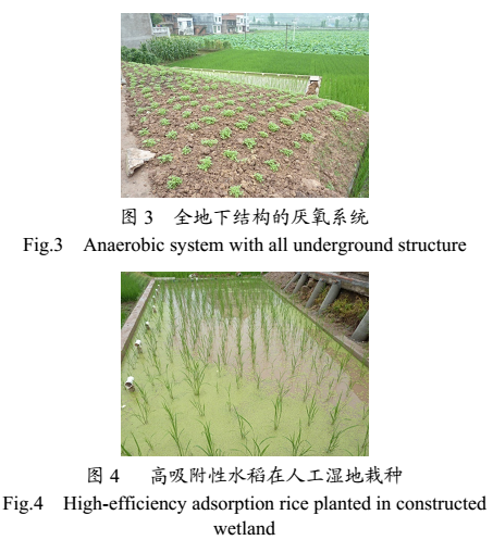 ACGMP���B�r����ˮ̎��ϵ�y����