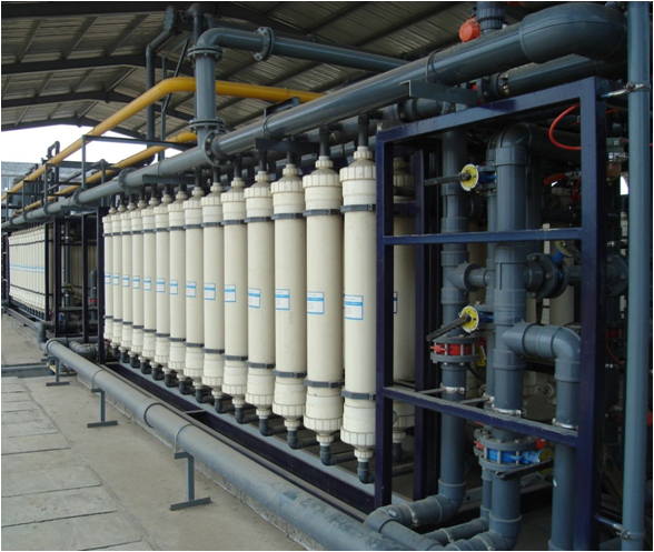 chaolv.jpg chaolv.jpg