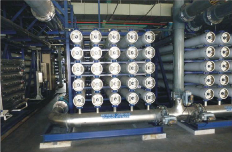 fanshentou1.jpg fanshentou1.jpg