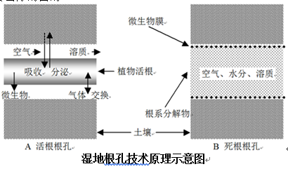 1605668116.png 1605668116.png