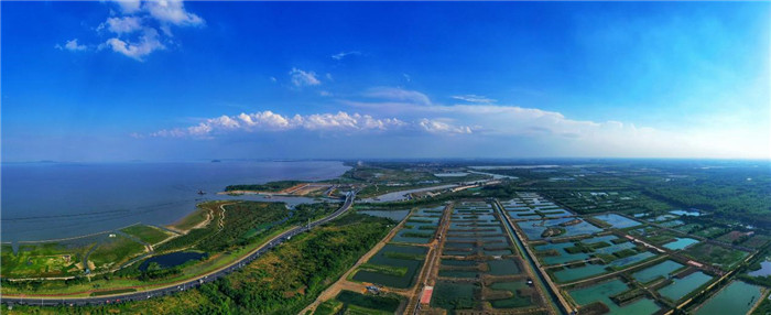 派河截導污九聯圩濕地。張潔攝影